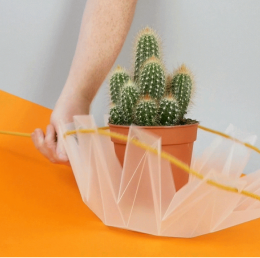 Potr Pots feature image