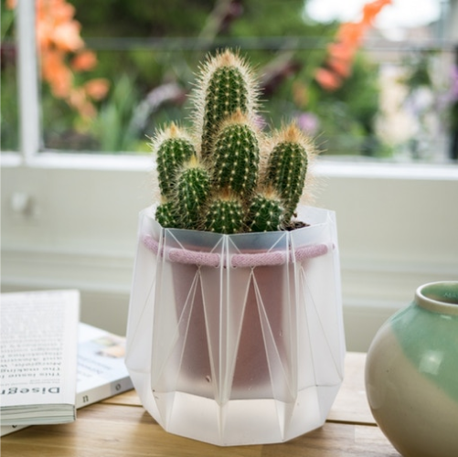 Potr Pots Image