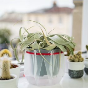 Potr Pots product image