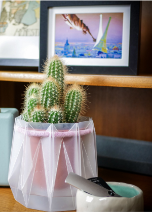 Potr Pots product image